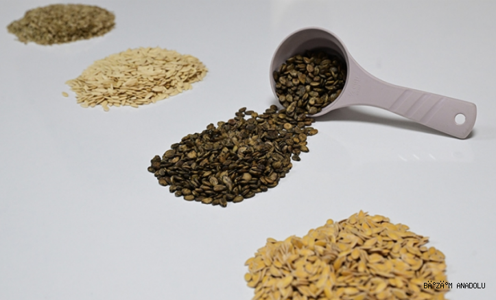 Güneydoğu'dan Afrika'ya hububat ihracatı yüzde 18,9 arttı