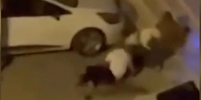  Adana'da, pitbull cinsi köpeğin saldırısına uğrayan 3 kişi yaralandı