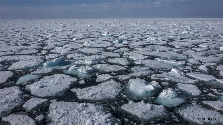  Azalan deniz buzu sadece kutup ekosistemini değil tüm dünyanın iklimini etkiliyor 