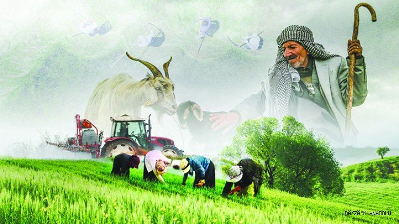 Çiftçiye 865 milyonluk  destek hesaplara yattı!