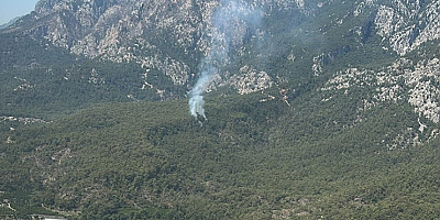 Antalya'da çıkan orman yangınına müdahale ediliyor