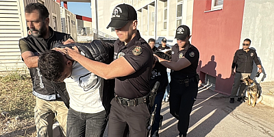 Bayğaralar suç örgütüne yönelik soruşturmada 96 zanlı tutuklandı