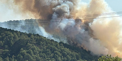 Bolu'nun Göynük ilçesinde çıkan orman yangını kontrol altına alındı
