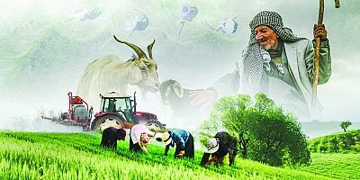 Çiftçiye 865 milyonluk  destek hesaplara yattı!