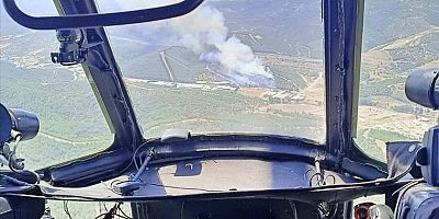  İzmir'de ormanlık alanda çıkan yangına müdahale ediliyor