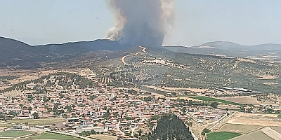 İzmir'in Foça ilçesinde çıkan orman yangınına müdahale ediliyor