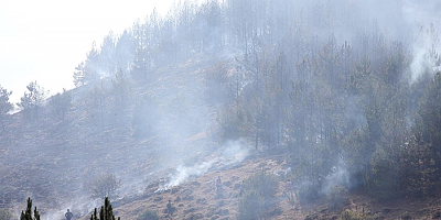 Kastamonu'daki orman yangınında yaklaşık 8 hektar alan zarar gördü