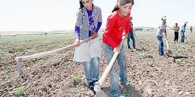 Türkiye’de 5-17 yaş arası  720 bin çocuk işçi çalışıyor